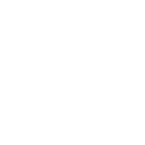 The Roni Sterin Group